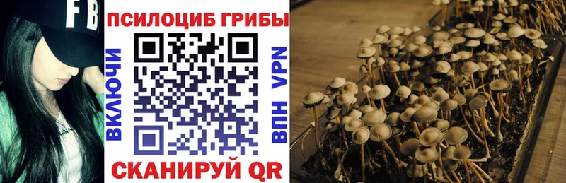 hydra зеркало  сайты даркнета состав  Галлюциногенные грибы Cubensis  Чёрмоз 